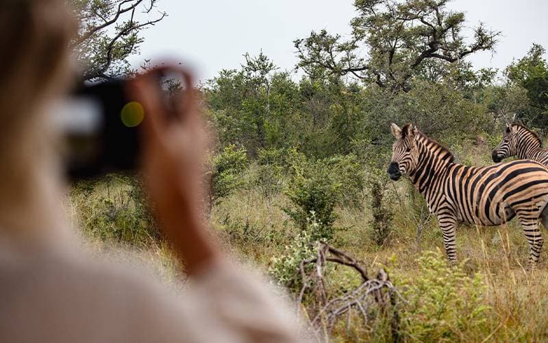 2025: A Year Through Your Eyes - Stories, sightings & moments we will never forget