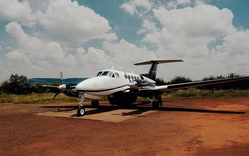 6 Reasons Why Your Next Holiday Should Be a Safari