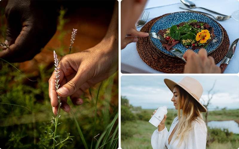 Sustainability on Safari: Small Actions, Lasting Impact