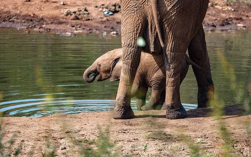 Water is Life: Honouring this Precious Resource for World Water Day