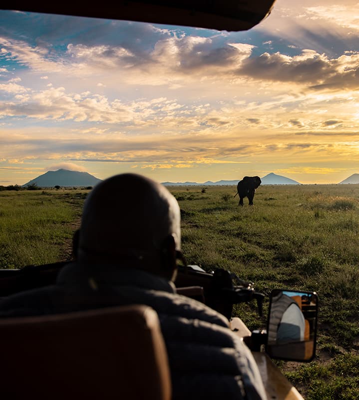 Game Drives