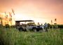 Game Drives Accommodation Safari South Africa Royal Madikwe Lodge Game Drives Accommodation Safari South Africa Royal Madikwe Lodge