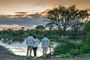 Accommodation Safari South Africa Royal Madikwe Lodge Vision Accommodation Safari South Africa Royal Madikwe Lodge Vision