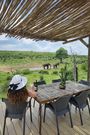 Accommodation Safari Wildlife South Africa Royal Madikwe Lodge 1023