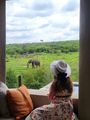 Accommodation Safari Wildlife South Africa Royal Madikwe Lodge 1024