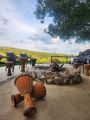 Accommodation Safari Wildlife South Africa Royal Madikwe Lodge 1028