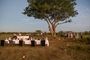 Accommodation Safari Wildlife South Africa Royal Madikwe Lodge Bush Dining 15