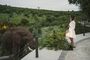 Accommodation Safari Wildlife South Africa Royal Madikwe Lodge Elephant Lodge 6