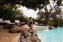 Pool Safari Wildlife Accommodation South Africa Royal Madikwe Lodge