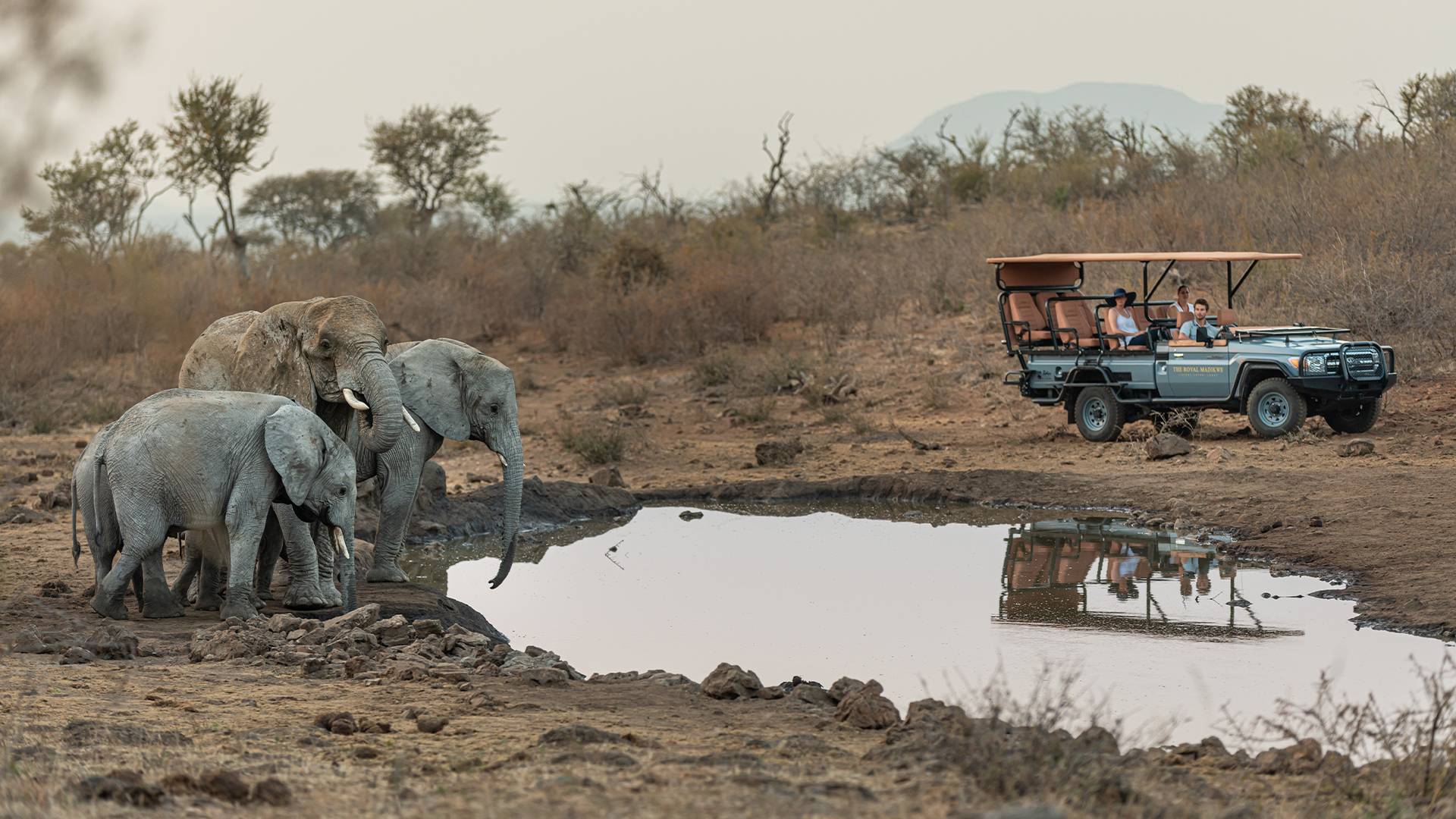 Luxury Safari Accommodation South Africa The Korone Suite 07 Luxury Safari Accommodation South Africa The Korone Suite 07