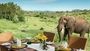 Elephant Accommodation Safari South Africa Royal Madikwe Lodge 3