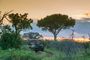 Game Drive Accommodation Safari South Africa Royal Madikwe Lodge