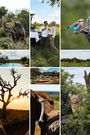 2026 Moments Royal Madikwe South Africa