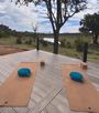 Yoga On Safari With Paragon Studios The Royal Madikwe