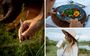 Sustainability On Safari Small Actions Lasting Impact The Royal Madikwe