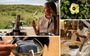 The Fragrances That Stay With You The Royal Madikwe